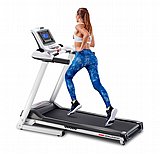 ����� ���� York Apollo