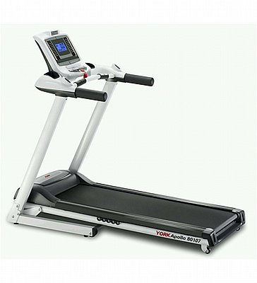 ����� ���� York Apolo