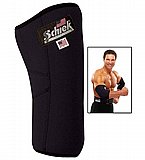 ����� ���� ������ SCHIEK 