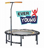 ��������� ���� 