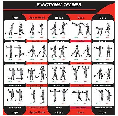 ���� ���� YORK MAXX-1