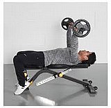 ��� ���� York Ninja