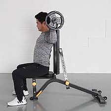 ��� ���� York Ninja