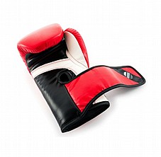 ����� ����� PRO UFC