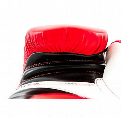 ����� ����� PRO UFC ���� ����