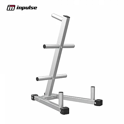 ���� ������ ��������� IMPULSE IFPTO
