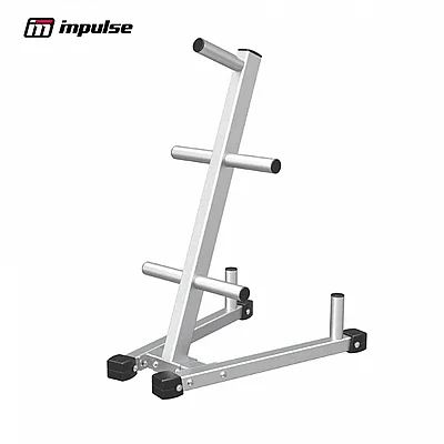 ���� ������ ��������� IMPULSE IFPTO