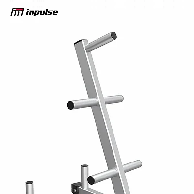���� ������ ��������� IMPULSE IFPTO