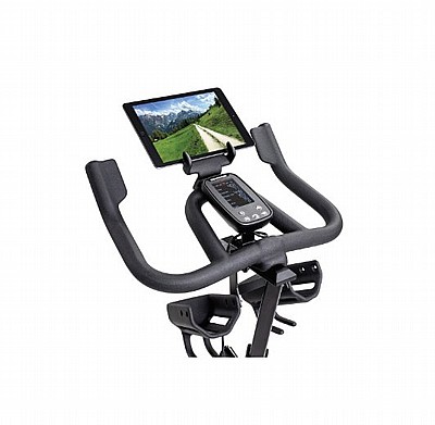 ����� ������� Schwinn IC8