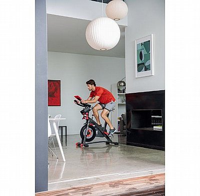 ����� ������� Schwinn IC8