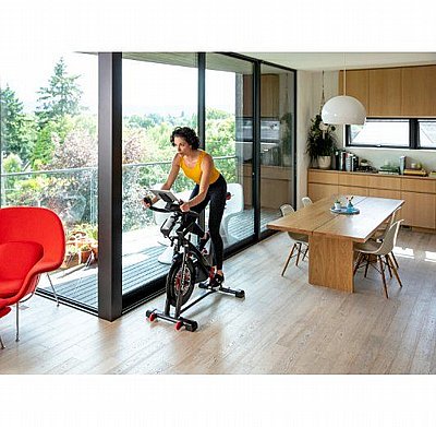 ����� ������� Schwinn IC8