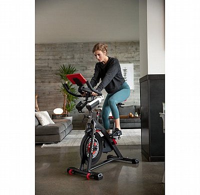 ����� ������� Schwinn IC8