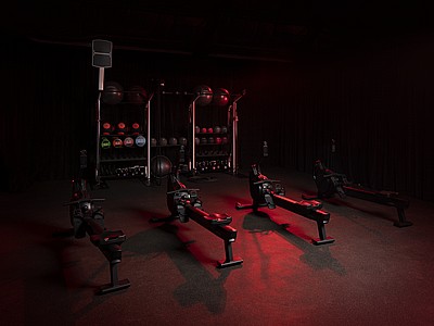 Life Fitness Heat Performance Row