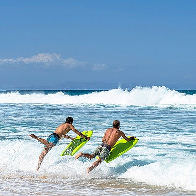 ���� ���� ���� ���� 43 ����� ������ 