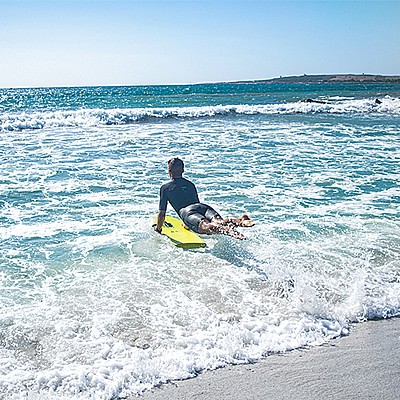 ���� ���� ���� ���� 43 ����� ������ 