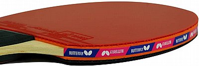 ���� ������ BUTTERFLY TIMO BOLL 3000