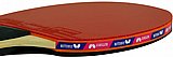 ���� ������ BUTTERFLY TIMO BOLL 3000