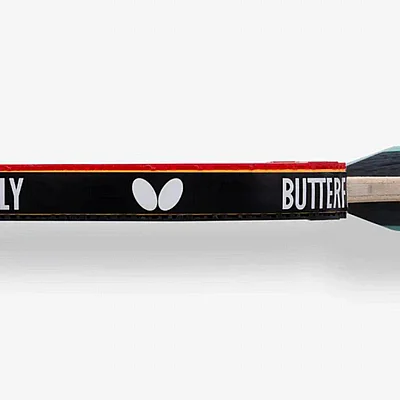 ���� ���� ���� ������ Team Butterfly Advance