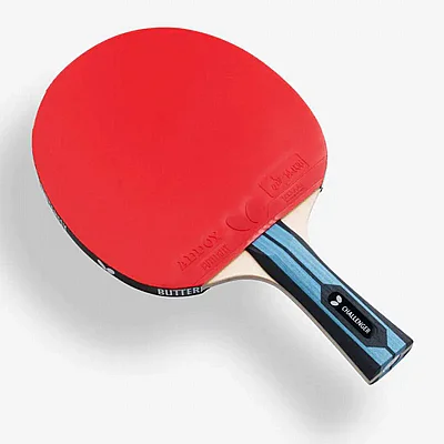 ���� ���� ���� ������ Team Butterfly Challenger