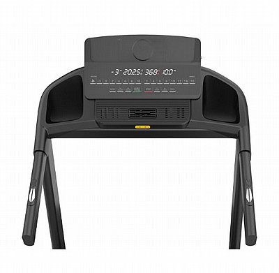 ����� ���� York Magnum