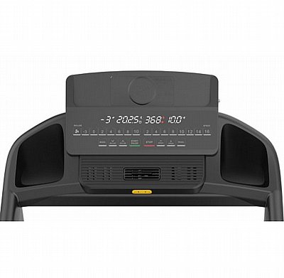 ����� ���� York Magnum