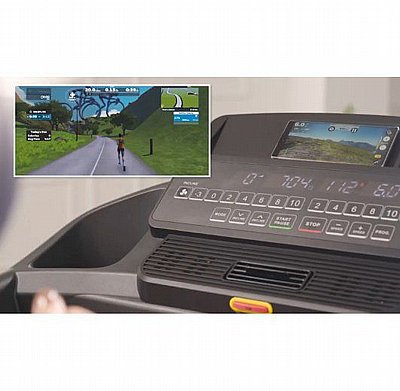 ����� ���� York Magnum