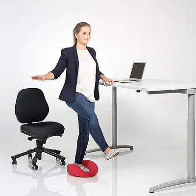 ���� ������ (���� �����) Ballkissen� XL
