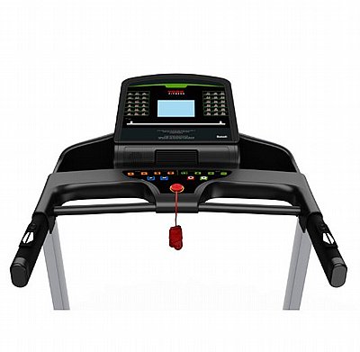 ����� ���� York Ultimate AP7