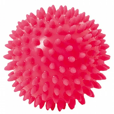 ���� ����� ����� ������ ����� Spiky Massage Ball TOGU
