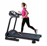  ����� ���� York austin