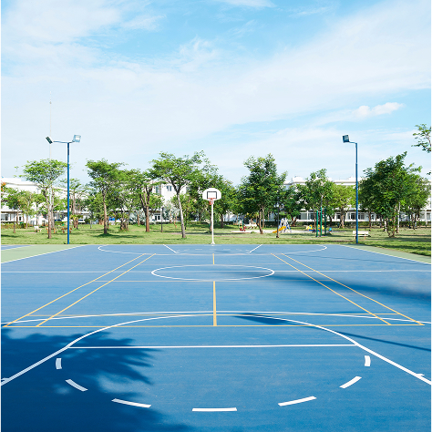 ���� ����� �����