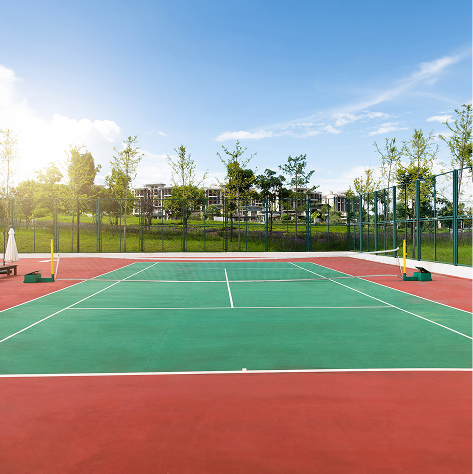 ���� ����� �����