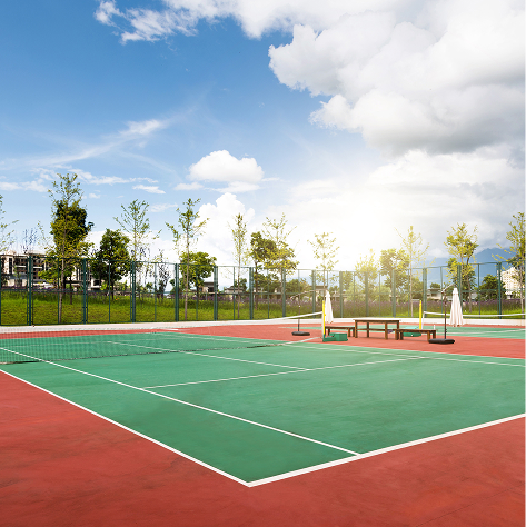 ���� ����� �����