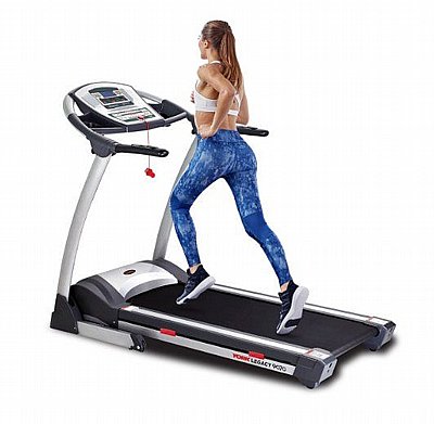 ����� ���� York Legacy 