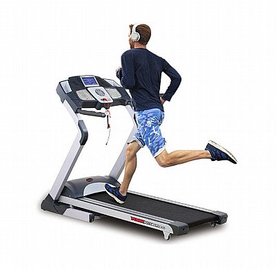 ����� ���� YORK Matador