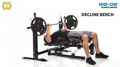 ��� ����� POWERTEC WB-OB11 