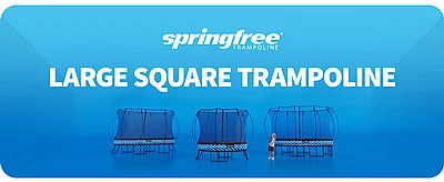 ��������� ������ ���� ��� Springfree s113