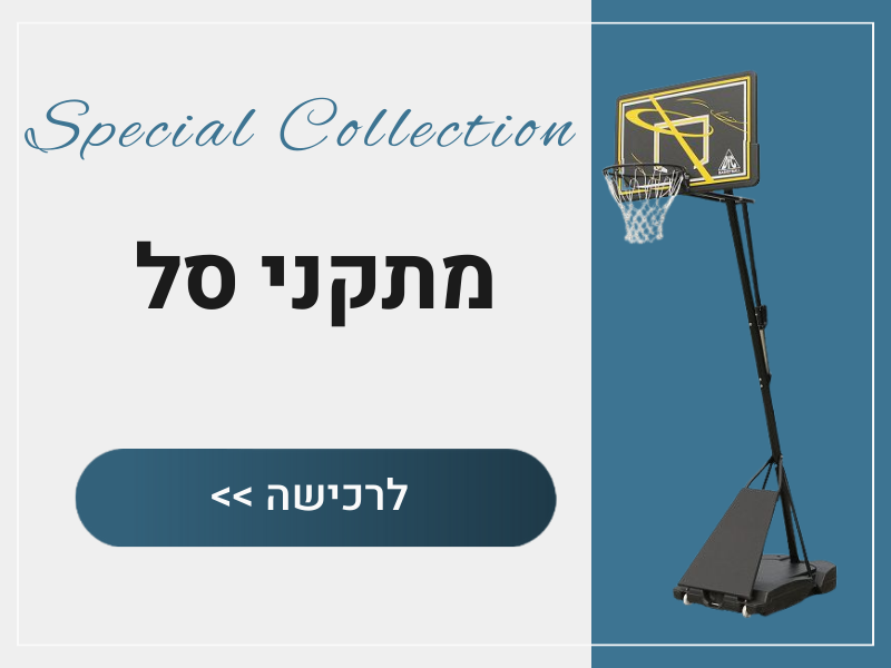 מתקני סל